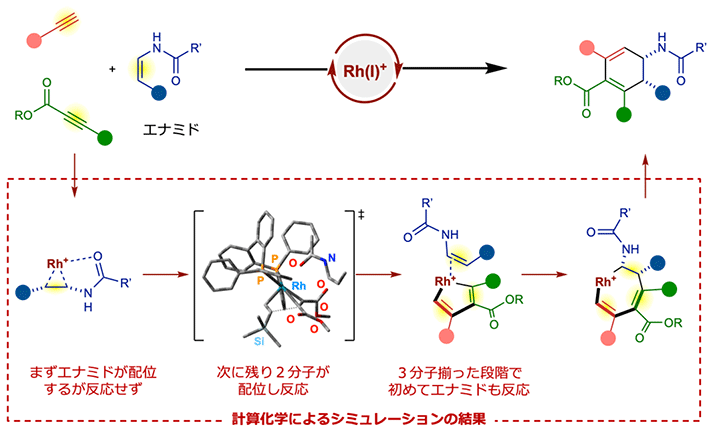 図4 計算化学による反応メカニズムの解析 