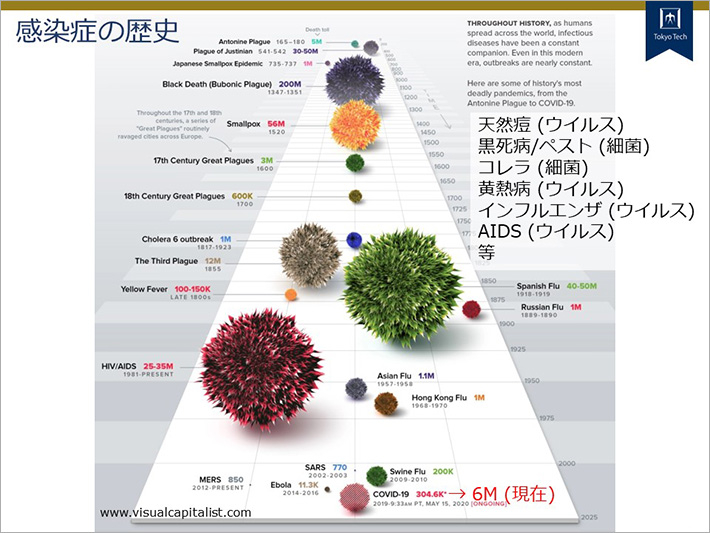 山口教授のスピーチ「コロナウイルスとは何だったのか？」