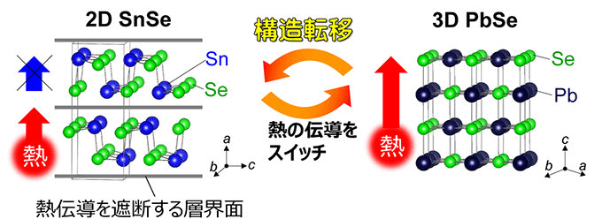 図2 SnSe（左）とPbSe（右）の結晶構造の違いと熱伝導の概念図。 