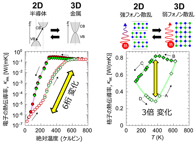 図5. (Pb0.5Sn0.5)Se固溶体における、電子熱伝導率（左）と格子熱伝導率（右）の温度変化。