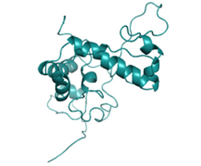 カイアシ類由来発光酵素ALuc®（21 kDa）