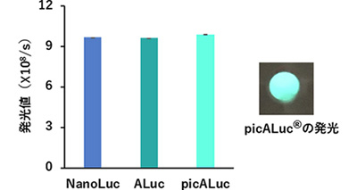 図5 既存の発光酵素とpicALuc®の発光値の比較。picALuc®の発光値は世界最高レベルである。 