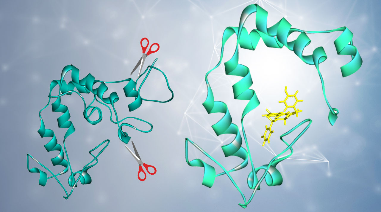 小野組の研究 Tokyo Active NEETs - Kobito of the Shining Needle - Touhou