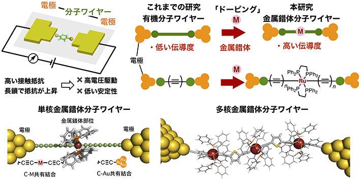 分子素子の構造と金属錯体分子ワイヤーの概要