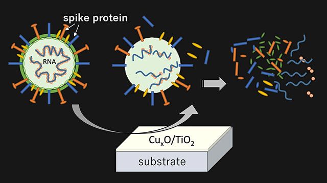 Scientists Develop Indoor-active Photocatalyst for Antiviral Coating Against Various Variant Types of Novel Coronavirus SARS-CoV-2