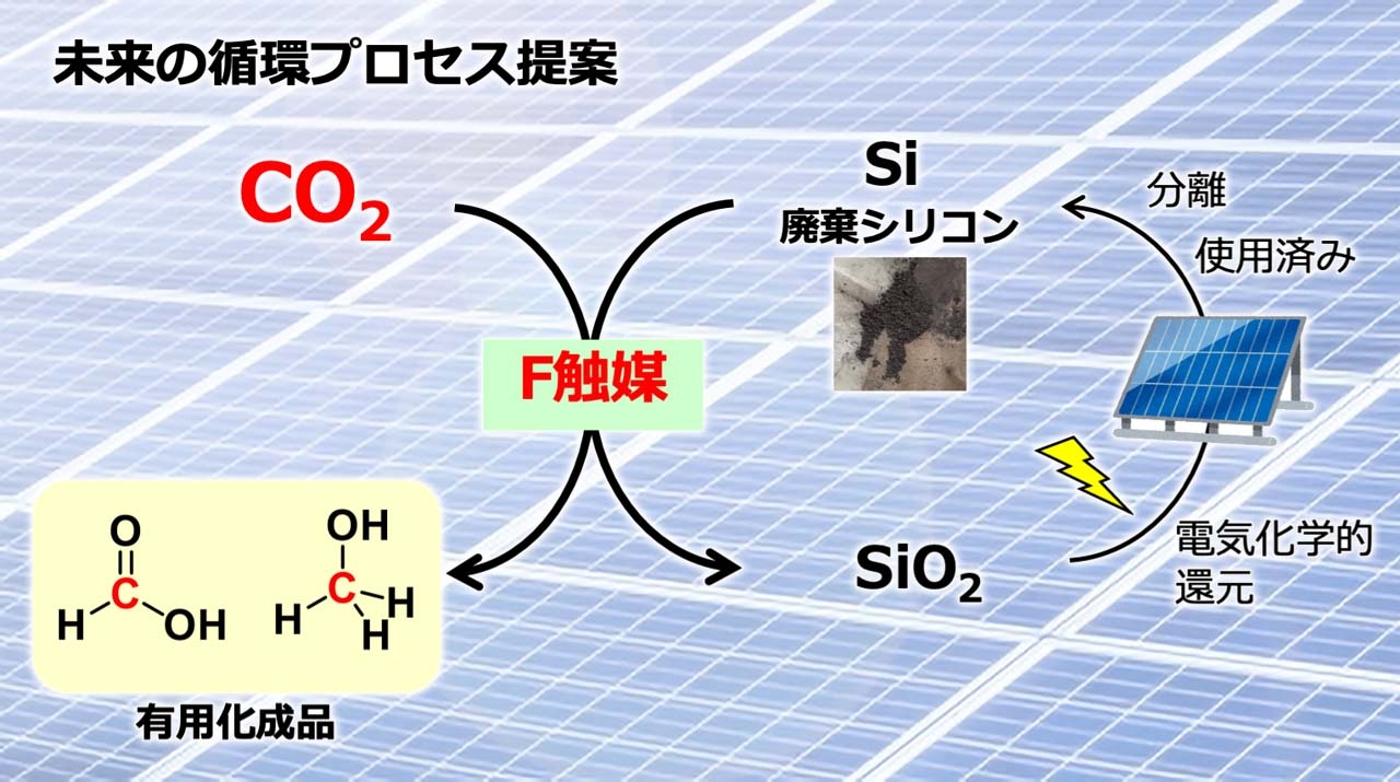 人工ライブロック　　No.31.  CO2無害化処理済 CO2 – Ultum Nature Systems
