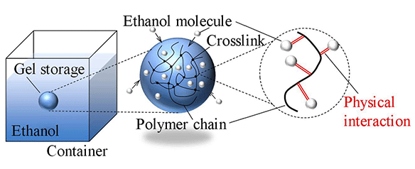 図1 高分子ゲル球体内のエタノールの保持 Chemically cross-linked gel storage for fuel to realize evaporation suppression, HOSOYA et al, Chemical Engineering Journal 2022, Volume 444, CC BY-NC-ND 4.0