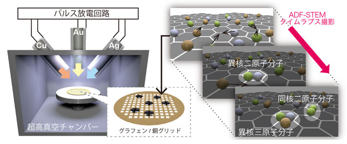 図1 ADF-STEM法を用いた金属原子の集合体観察 