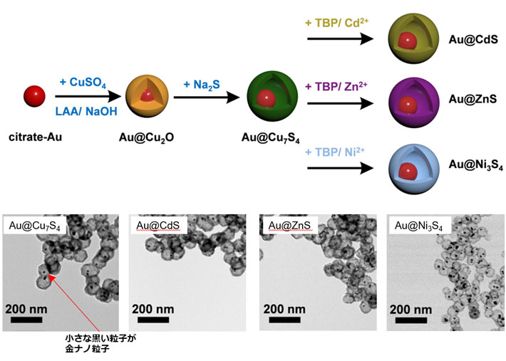 図2 Au@Cu7S4、Au@CdS、Au@ZnSとAu@Ni3S4合成手順と各ヨーク-シェル型構造体の透過型電子顕微鏡像 