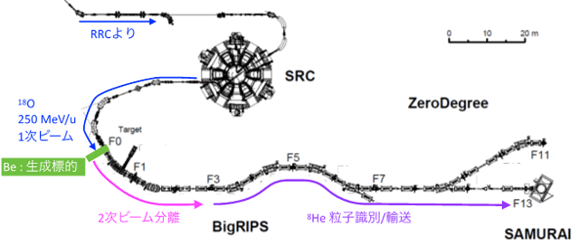 図1 RIBFのSRC-BigRIPSおよびSAMURAIの鳥瞰図 RRC（リングサイクロトロン）、SRC（超伝導リングサイクロトロン）で加速された1次ビームの18Oビームをベリリウム（Be）生成標的に照射し、2次ビームとして8He核を生成した。この8He核を、BigRIPS（超伝導RIビーム生成分離装置）を用いて分離し、ビームとしてSAMURAIスペクトロメータ（多種粒子測定装置）の標的位置に供給し、液体水素標的に照射した。