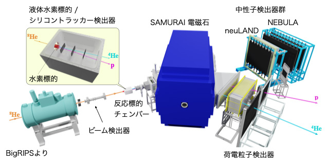 図2 測定に用いられたSAMURAIスペクトロメータと検出器群の概略 BigRIPSから輸送された8He核ビームの通過した位置と角度を、ビーム（飛跡）検出器により決定する。8He核と水素標的中の陽子（p）が衝突し、8He核内の4He核と陽子が散乱する。陽子と4He核の散乱角度は、水素標的直下流のシリコントラッカー検出器により決定される。さらに、陽子と4He核のエネルギーはSAMURAIにより高分解能で決定される。一方4個の中性子は、シリコントラッカー検出器とSAMURAIを通過し、中性子検出器群のNEBULAおよびNeuLANDより部分的に検出される。