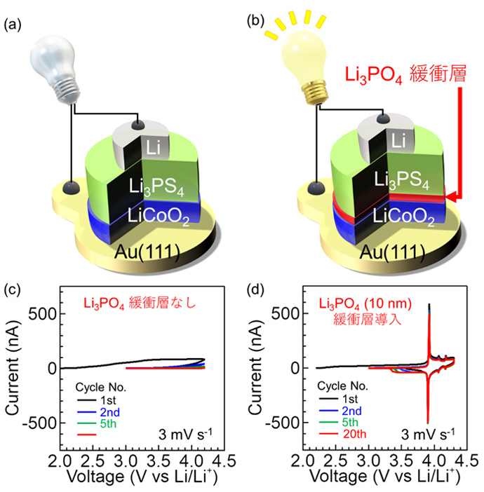 (a) 作製した薄膜型全固体Li電池の模式図。(b) Li3PS4硫化物固体電解質とLiCoO2電極の界面に緩衝層としてLi3PO4酸化物固体電解質を導入した場合の模式図。(c) Li3PO4緩衝層を導入しない場合のサイクリックボルタンメトリー法による測定結果。鋭いピークは観察されず、充電・放電反応が起きていない。(d) Li3PO4緩衝層（厚さ10 nm）を導入した場合の測定結果。3.9 V vs. Li/Li+で充電・放電反応を示した。