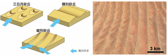 図5. （左）砂漠環境に発達する様々な砂丘形態の概念図。（右）ナミブ砂漠に発達する縦列砂丘の衛星画像（© Google Earth）。