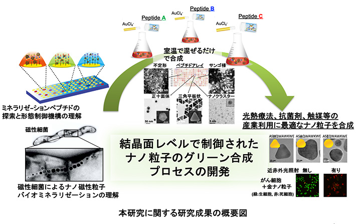 結晶面レベルで制御されたナノ粒子のグリーン合成プロセスの開発