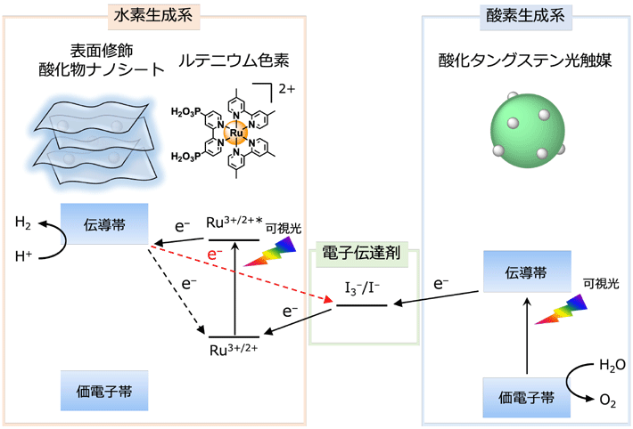 図1 色素増感Zスキーム水分解系 