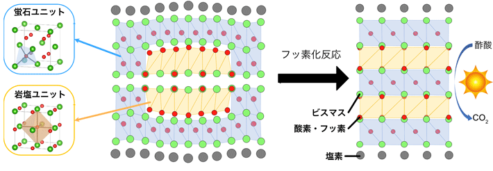 岩塩型構造に似た構造を有する岩塩ユニット（オレンジ色の部分水色の部分）と蛍石型構造に似た構造を有する蛍石ユニット（水色の部分）が複合した初の層状酸塩化物Bi12O17Cl2とフッ素挿入反応による岩塩／蛍石ユニットの再配列。岩塩／蛍石ユニットの再配列により、Bi12O17Cl2の波打っていた層が平坦になり、光触媒活性が向上した。