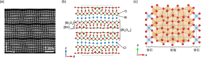 (a) Bi12O17Cl2の電子顕微鏡像。ここではBiのみが白い点で見えています。Biの列が6列存在し、a軸方向にまっすぐではなく、波打っていることが見てとれます。 (b) 本研究で明らかとなったBi12O17Cl2の結晶構造。電子顕微鏡やX線回折などの手法を組み合わせることで初めて構造が明らかになりました。(c) c軸方向から見たBiO2.25ブロック。BiO2.25ブロックには、岩塩型構造のような配位多面体（オレンジ）と蛍石型構造（水色）のような配位多面体が共存しています。