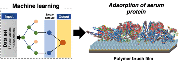 本研究で提案された機械学習を用いて血中成分の吸着量を予測する手法の概念図