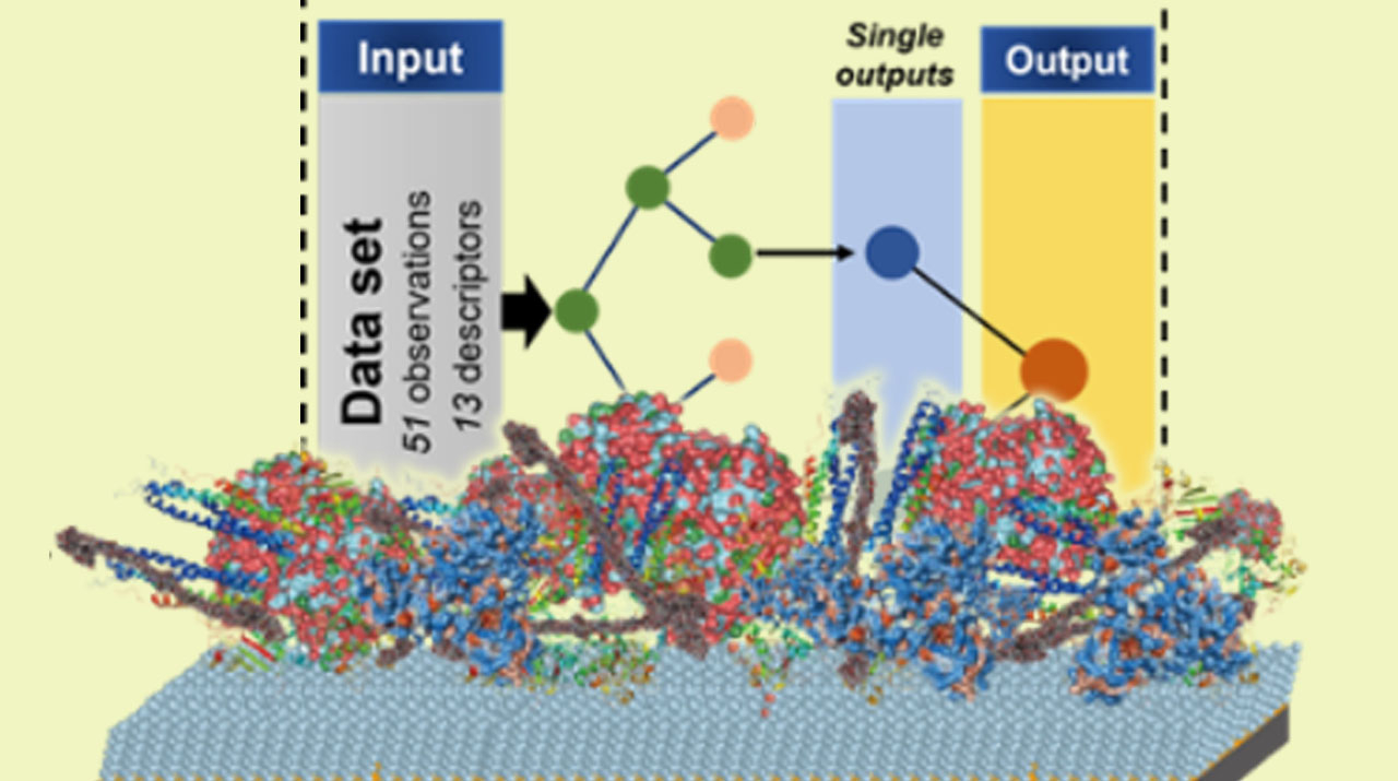 機械学習を用いた高分子コーティング膜の設計効率化 低コスト化・開発