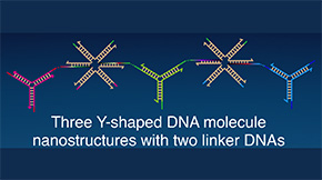 Novel Method for Early Disease Detection Using DNA Droplets