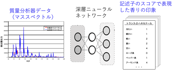 図1 マススペクトルから匂い印象を予測する仕組み 