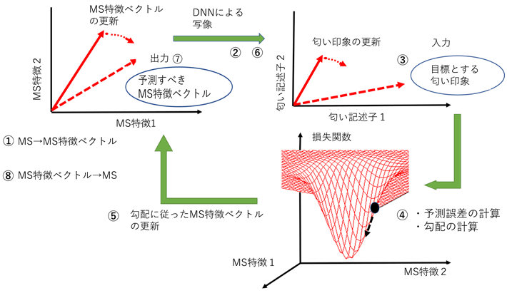 匂い印象からマススペクトルを予測する仕組み（D. Hasebe et al. PLOS ONE, 2022 より、和訳のため一部改変）