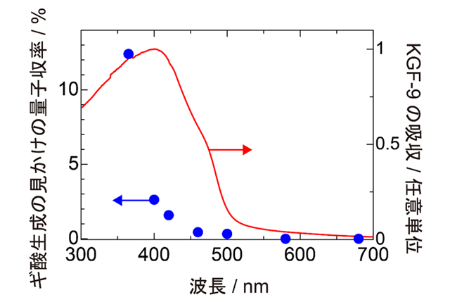 図2. 見かけの量子収率の作用スペクトル（用語8）とKGF-9の吸収。KGF-9の吸収（赤線）が500 nm付近から立ち上がっているのに対してギ酸生成の見かけの量子収率（青点）も同様に500 nmからその値が立ち上がっているため光触媒KGF-9が吸収した光エネルギーが光触媒反応に利用されていることを示している。