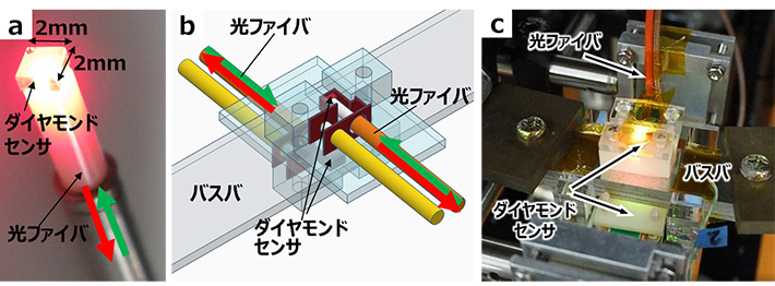 図2. （a）ダイヤモンドを光ファイバの先端に設けたセンサヘッド構造。光ファイバを通してダイヤモンドに緑色レーザー光が照射され（緑矢印）、NVセンタが赤色蛍光発光する。これを光ファイバを通じて検知する（赤矢印）。（b）バスバ（電流経路）の表裏にセンサヘッドを設けた差動型センサの構成図、（c）同写真。