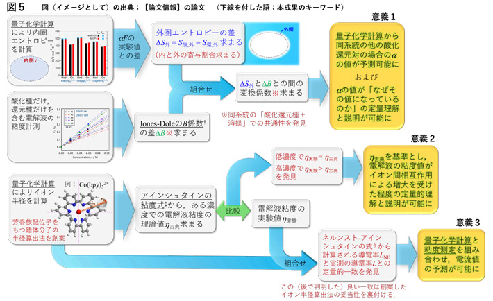 図5 本研究の成果と意義。"†"、"‡"、"§"を付した語はそれぞれ用語4、5、および6参照。 