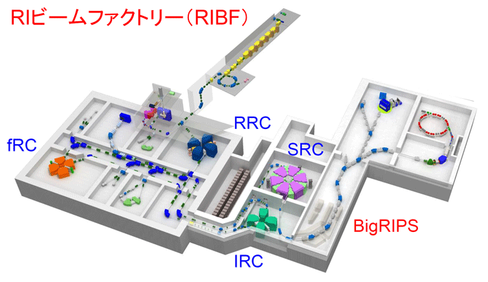 図2 RIビームファクトリー（RIBF）の構造 RIBFは、重イオンビームを供給する加速器系（サイクロトロンのRRC、fRC、IRC、SRCなど）、超伝導RIビーム分離生成装置のBigRIPSからなるRIビーム生成系、そして生成系で生成したRIビームを用いて多角的な研究・利用を行う基幹実験装置系から構成される。