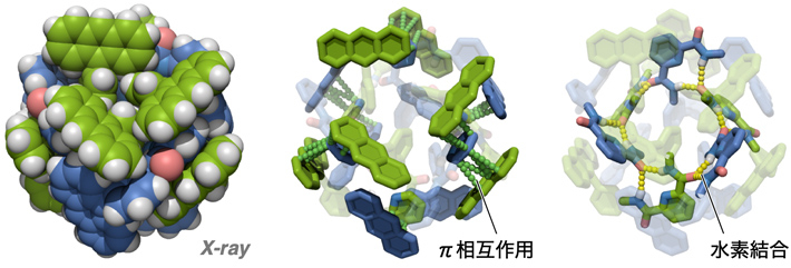 環状6量体(1)6のX線結晶構造解析結果と、π相互作用と水素結合の可視化図。相互作用する1の分子を緑と青色で交互に表示。