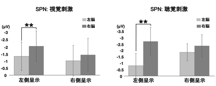 図2 片側（左側／右側）のみに視覚刺激と聴覚刺激を呈示した場合の脳波の違い 左側刺激呈示時は右脳優位、右側刺激呈示では左脳の脳波と右脳のSPNに差がなくなる。左脳も右脳も活動していると示唆された。** p < 0.01