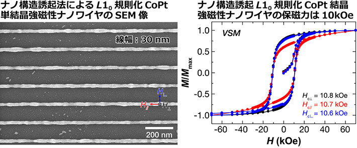 図1 ナノ構造誘起法により作製したL10規則化CoPt単結晶ナノワイヤのSEM像（左）と、  磁気ヒステリシスループ （M-H カーブ）（右）