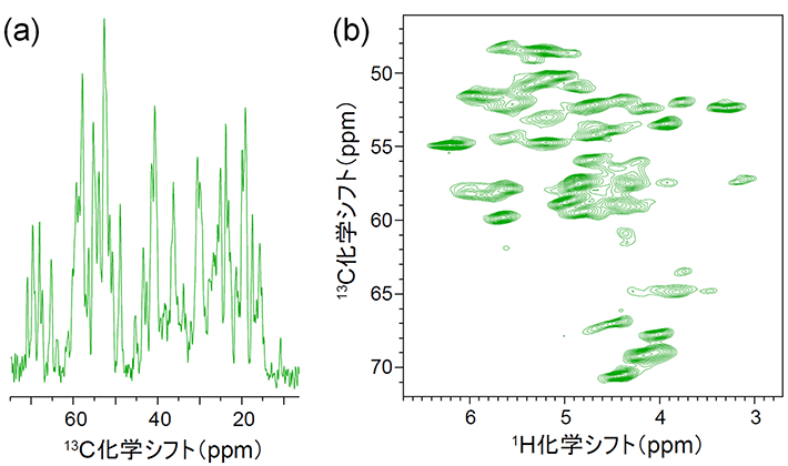 図4 超1GHzコンパクトNMR装置で取得したタンパク質固体試料のNMRスペクトルの例 微結晶状態の56アミノ酸残基からなるGB1タンパク質を測定した例。試料は有機溶媒を含んだ微量の水溶液に浸されており、溶液内のタンパク質と同等な構造が固体状態で保持されている。（a）はGB1のタンパク質の主鎖を構成する13Cαと側鎖13Cの一次元固体NMRスペクトル（CPMASスペクトル）である。（b）の二次元スペクトルは13Cαとそれに結合する1Hαの化学シフトを紐づけており、これによって両者の帰属を明確にできる。一般的に、固体NMRの1Hスペクトルは線幅が数十ppmを超える非常に幅広なスペクトルとなるが、本実験では直径0.75 mmの細径試料管に詰めた固体試料を毎秒90,000回転し、1H信号を大幅に先鋭化することで、溶液NMRスペクトルに近いスペクトルを得ている。（a）のスペクトルでは重なっている信号が（b）では分離して観測可能となる。測定時間は（a）が4分、（b）が20分であった。アミロイドタンパク質などに対しても、超1 GHzのNMR装置により同様の高分解能・高感度の固体NMRスペクトルが得られることが期待できる。