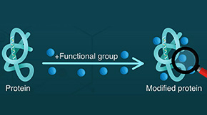 Phosphate's Electrical Signature Helps Detect Important Cellular Events