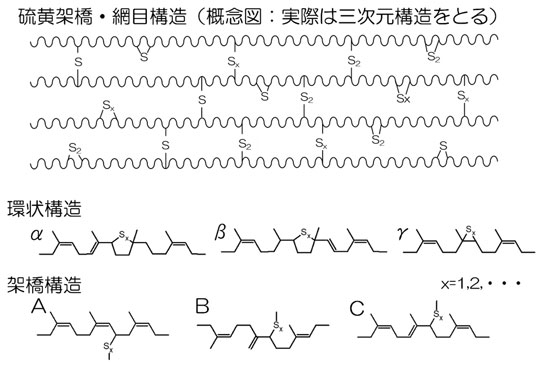 図3 高磁場溶液NMRにより明らかになった、加硫されたゾル状NRの部分構造 