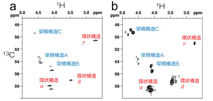 図4 固体試料（a）と溶液試料（b）で比較した硫黄結合点のメチン基の2次元NMR 天然ゴム（NR）を硫化すると、硫黄原子は高分子（ポリcis-イソプレン）の鎖の一部に結合し、硫黄と結合したメチン基（CH）などが生成するため、2次元NMRでメチン基の炭素・水素間の情報を得ることで、硫黄を含む部分構造を解析できる。固体試料（a）と溶液試料（b）を用いた高分解能2次元NMRスペクトルでは、架橋構造と環状構造を示すシグナルがいずれも一致していた。