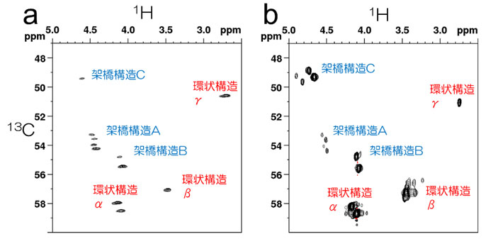 図4 固体試料（a）と溶液試料（b）で比較した硫黄結合点のメチン基の2次元NMR 天然ゴム（NR）を硫化すると、硫黄原子は高分子（ポリcis-イソプレン）の鎖の一部に結合し、硫黄と結合したメチン基（CH）などが生成するため、2次元NMRでメチン基の炭素・水素間の情報を得ることで、硫黄を含む部分構造を解析できる。固体試料（a）と溶液試料（b）を用いた高分解能2次元NMRスペクトルでは、架橋構造と環状構造を示すシグナルがいずれも一致していた。