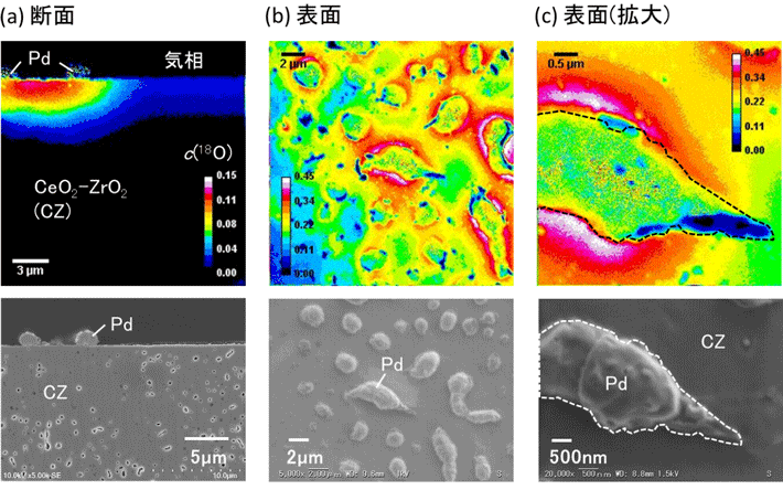 図2 モデル三元触媒の(a)断面および(b、c)表面における酸素同位体濃度分布 