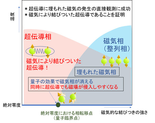 素粒子ミュオンで捉えた！超伝導に埋もれた微弱な磁気の発見