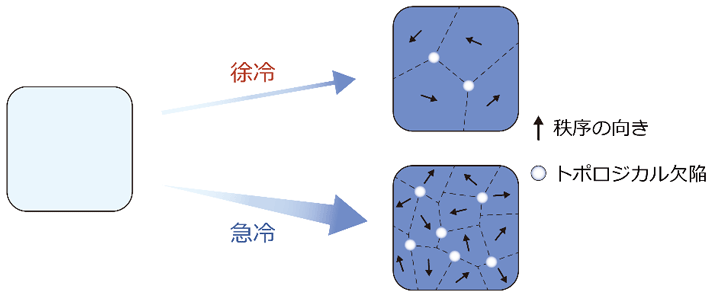 図1 超伝導体などでは冷却速度を上げると秩序の向きが揃う間もなく固まってしまい、 トポロジカル欠陥の量が増える。 