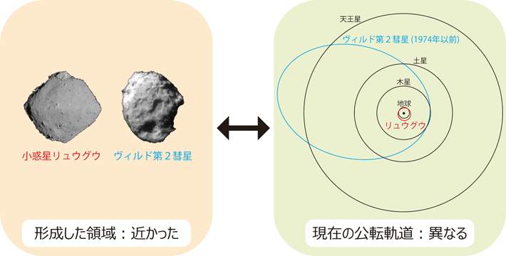  現在のリュウグウとヴィルド第2彗星の公転軌道は異なっている。しかし、天体に含まれている高温鉱物の酸素同位体組成は、両者の形成場所が近かったことを示唆している。