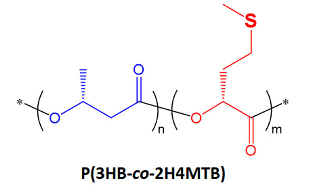 図1 メチオニンを副原料として新しく開発した微生物ポリエステル 