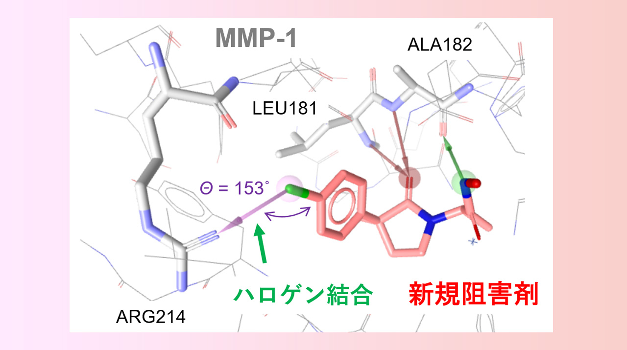 構造活性相関転移”による低分子医薬品候補の設計 既知の構造活性