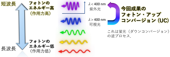 図2 フォトン・アップコンバージョンの概念模式図。 