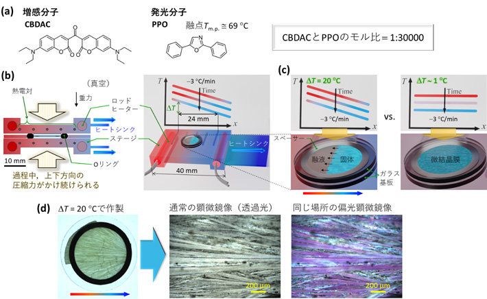 (a) 本研究で選定、使用した増感分子と発光分子の組み合わせ。(b) 独自に考案・開発した温度制御成膜装置の試料保持部の模式図と温度勾配ΔTの定義。(c) ΔTの違いが膜生成に与える影響を表した模式図。(d) ΔT = 20 ℃で作製された膜の顕微鏡像。本図の著作権情報は[注3]参照。