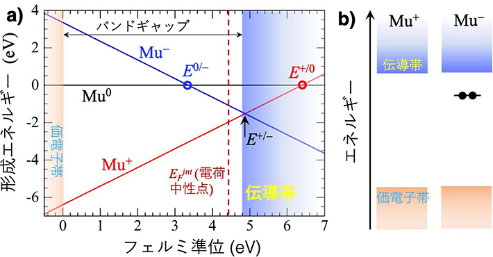 （a）β-Ga2O3でのミュオン(Muqi, q = 0,±1)の形成エネルギー[用語6]とフェルミエネルギーの関係図。H+の形成エネルギーと H0の形成エネルギーの交点をドナー準位（E +/0）、H-の形成エネルギーとH0の形成エネルギーの交点をアクセプター準位（E 0/-）とし、最近提案された両極性モデルでは、H（あるいはMu）はこれらに対応した2つの準安定状態を同時に取り得ると仮定する。今回の実験結果はこのモデルとよく一致している。E 0/-が伝導帯中に存在するため、対応するH（あるいはMu）は常にイオン化（H → H+ + e-）して電子を供給する、つまり意図しないn型伝導を引き起こす原因となることを意味する。また、E 0/-が伝導帯に近い位置にある一方で、電荷中性点EFintよりも低エネルギー側（図で左側）にあることから、E 0/-に対応する状態が実際にアクセプターとして機能し、伝導帯と電子のやりとりが可能であることを示唆している。 （b）ドナー（Mu+ = Mu1）とアクセプター（Mu-= Mu2）準位に対応したバンド構造の模式図。Mu-は伝導帯と電子をやりとりし、一時的なMu0状態を経由ながら高速で拡散する。
