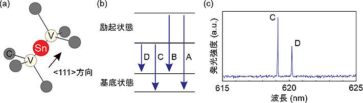 図1 ダイヤモンド中のSnV中心。(a) SnV中心構造の模式図。(b) エネルギー準位。(c) PLスペクトル 