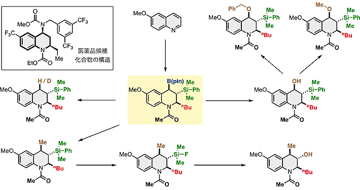 図3 ホウ素・ケイ素化合物を用いた合成プラットフォームとしての利用 