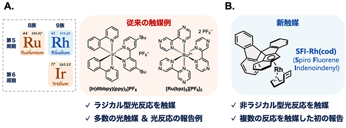 図1 本研究とこれまでの研究の比較 